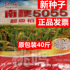 产圆粒珍珠香米种子原装40斤正品