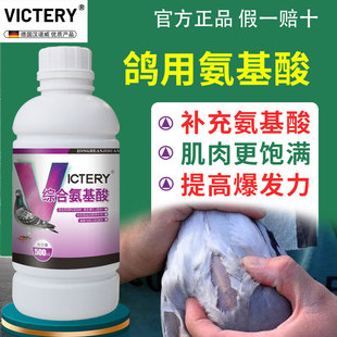 汉诺威氨基酸鸽用赛鸽补充营养调节体能提高爆发力耐力肌肉更饱满