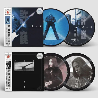 正版 许巍专辑黑胶唱片lp 那一年 在别处 珍藏版画胶12寸/45转