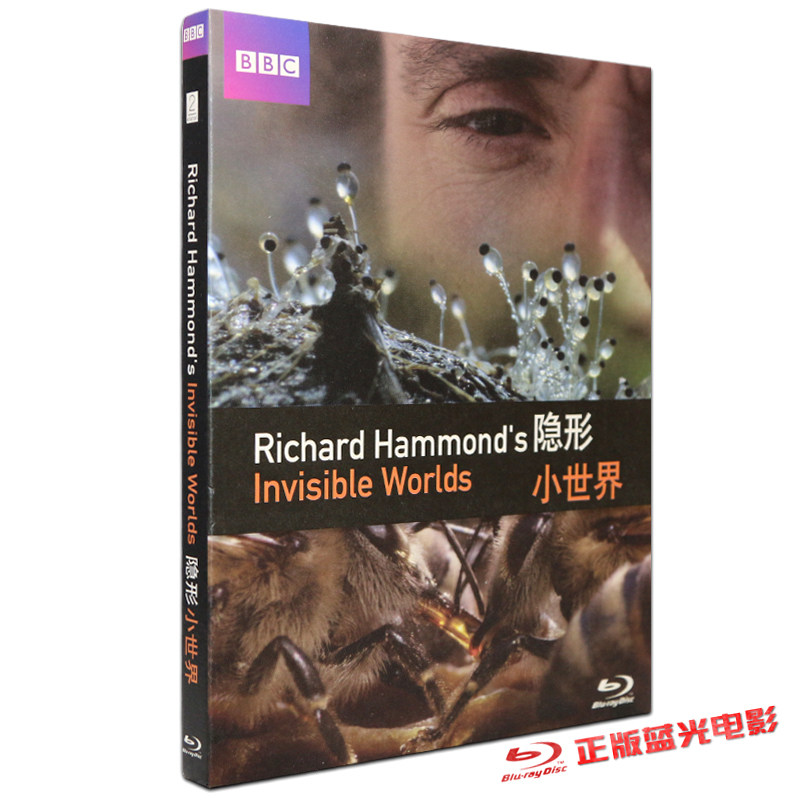 正版蓝光碟BBC纪录片隐形小世界蓝光BD50电影dvd高清光碟片1080P