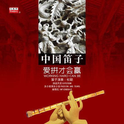 中国笛子爱拼才会赢杜聪正版天地行LP黑胶唱片留声机专用12寸碟片