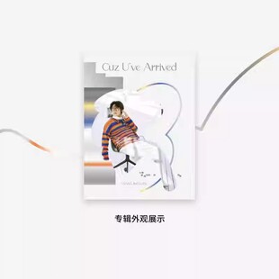 正版 王靖雯CD专辑《大概是因为你的到来》明信片+海报+项链 周边