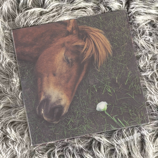 正版 文兆杰专辑 爱神 LP黑胶唱片