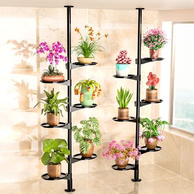 顶天立地省空间可伸缩调节花架