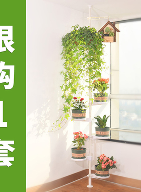 顶天立地花架置物架室内窗台飘窗多肉收纳架阳台悬挂绿萝吊兰架子