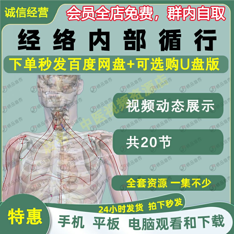经络内部循行走向动态展示中医视频大合集自学零基础入门精通