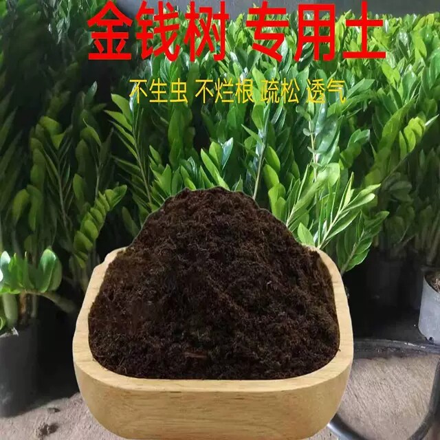 金钱树专用酸性透气营养土