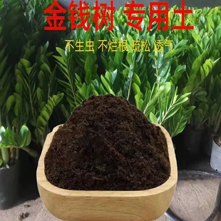 金钱树专用土酸性土壤种植土通用透气营养土盆栽土花泥土有机肥料
