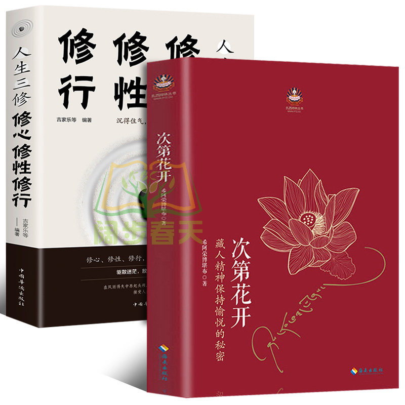 正版包邮 次第花开/扎西持林丛书 希阿荣博堪布著作品 透过佛法看世界