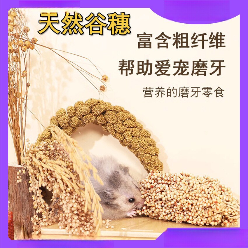 谷穗天然谷穗黄谷穗试吃装小米鹦鹉小鸟零食仓鼠笼造景装饰杂粮