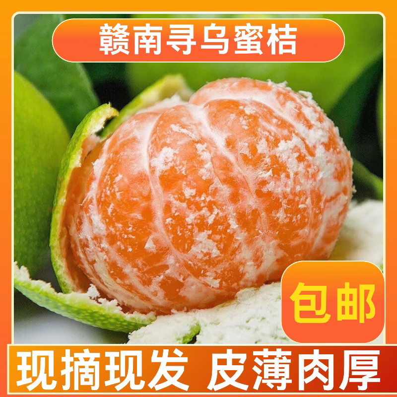 赣南寻乌青皮蜜桔子皮薄无籽鲜甜