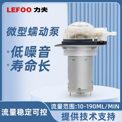力夫LFP104DB 蠕动泵微型水泵 12/24V自吸直流电动静音大流量水泵