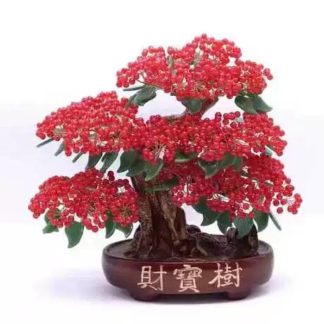 红果发财树摇钱树家居摆件客厅玄关酒柜店铺开业乔迁送礼