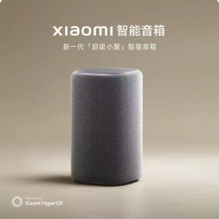 小米智能音箱家用小型超级小爱同学多色蓝牙音响内置蓝牙mesh2.0