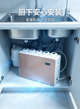 经济实用型反渗透RO双水直饮机