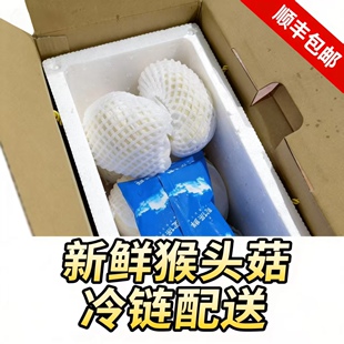 新鲜猴头菇头茬食用菌猴头菇养胃新鲜菌菇煲汤火锅新鲜猴头菌直销