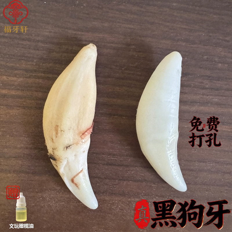 黑狗牙真品真狗牙齿狗牙齿吊坠红绳婴儿挂件护身符成人手绳脚绳