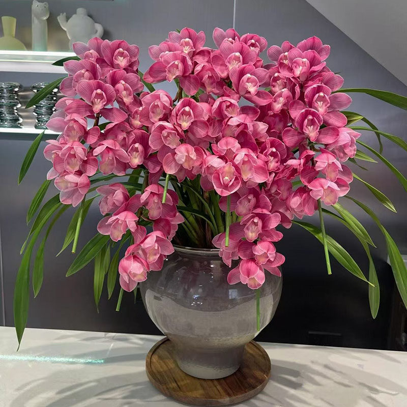 【小时达】大花惠兰蝴蝶兰带花盆栽鲜花速递同城生日礼物年宵花