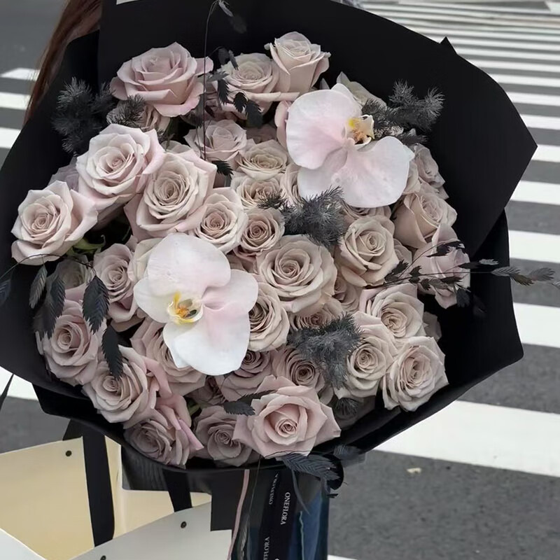 33朵曼塔玫瑰花束全国同城配送