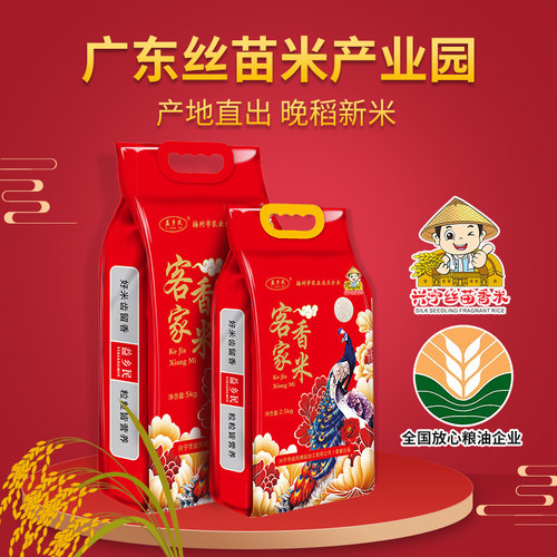 广东晚稻新丝苗米煲仔饭炒饭专用