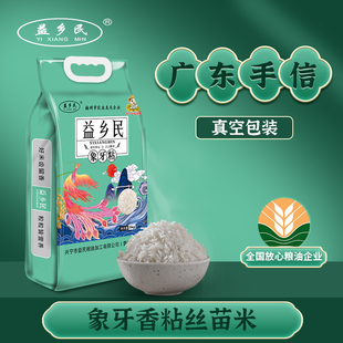 广东2025新米软糯丝苗米籼米炒饭象牙粘煲仔饭专用10斤真空香米