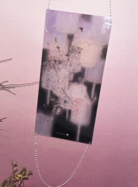 [清仓特价]No!why shop·歪店×阿鸡俺吉亚克力装饰壁饰“梦蝶”