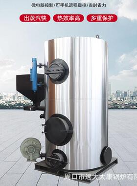 厂家RBY蒸汽发生全自动生物颗粒蒸汽锅器炉生物质汽蒸质发生器