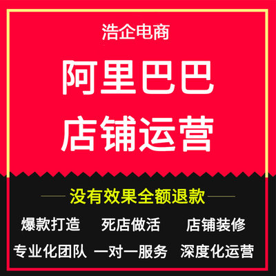 阿里巴巴代运营1688店铺整店推广标题优化诚信通网站托管电商服务