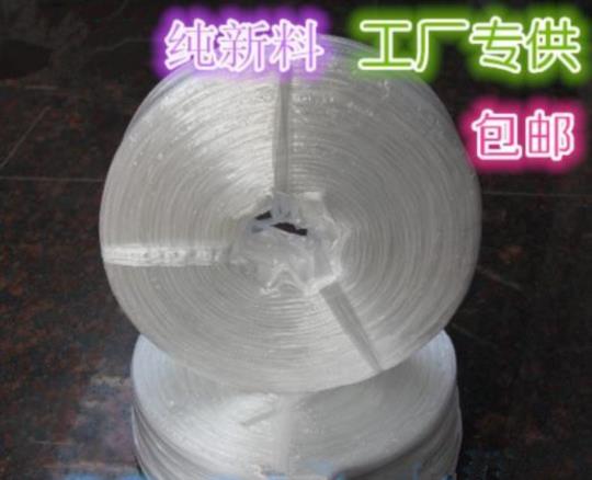 搬家打包绳扎口绳宽塑料袋扎带捆扎绳种植行李箱扎口袋绳塑料绳白在类目 鲜花速递/花卉仿真/绿植园艺, 园艺用品, 打草绳等其他绳子中 - 来自Buy2taobao.com提供专业的淘宝代购服务
