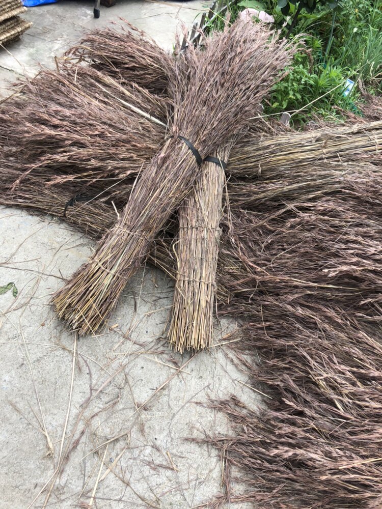 天然红茅草瓦茅草伞茅草屋红茅草基础材料