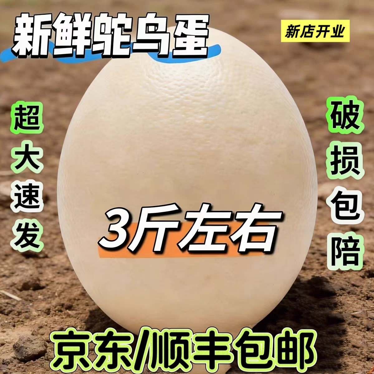 顺丰京东包邮   现捡现发 新鲜超大 可孵化可食用鸵鸟蛋