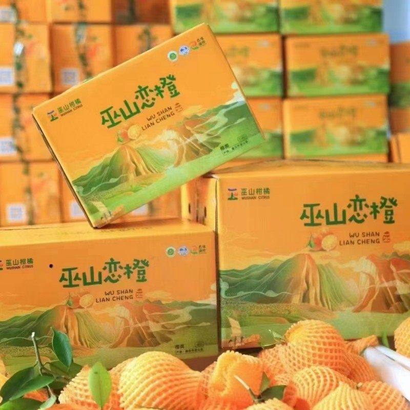 三峡柑橘巫山恋橙纽荷尔脐橙无籽柑橘产地现摘当季一整箱10斤大果,水产肉类/新鲜蔬果/熟食,橙,淘宝优惠券,粉丝福利购,淘宝优惠卷