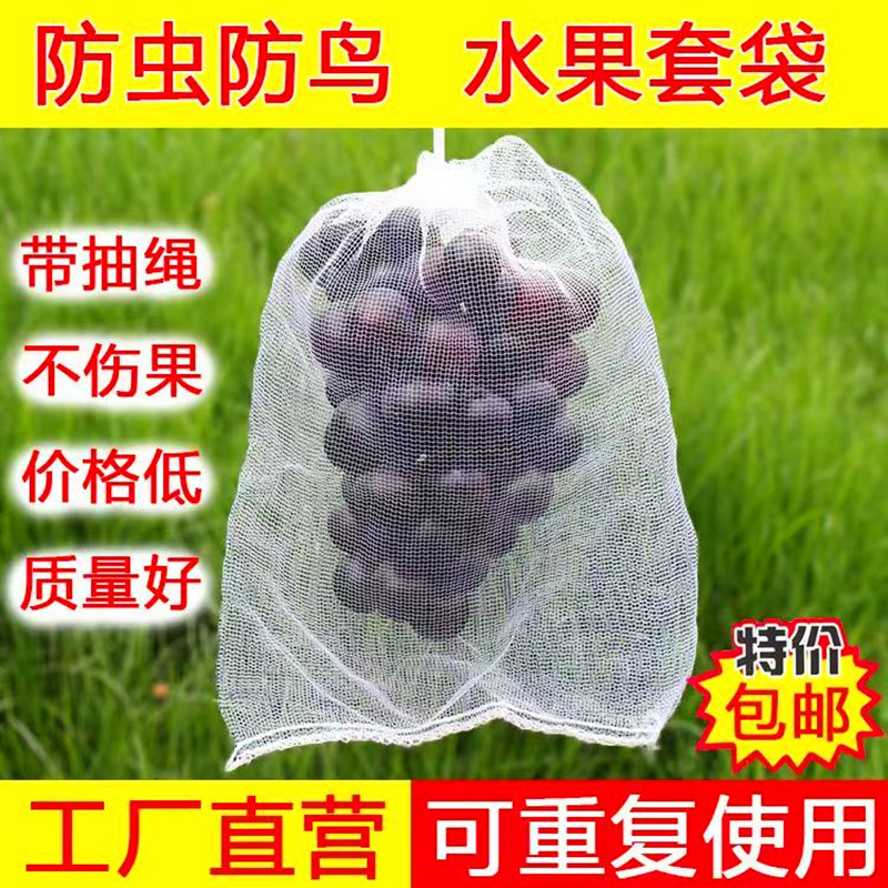 水果葡萄套袋防鸟防虫白色网纱袋