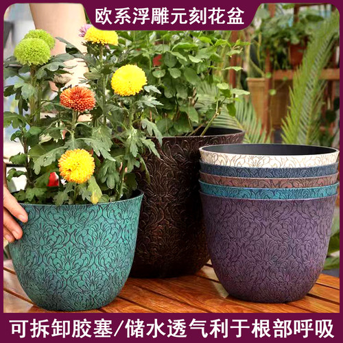 刻花盆爱丽园艺四季多肉绿萝大花