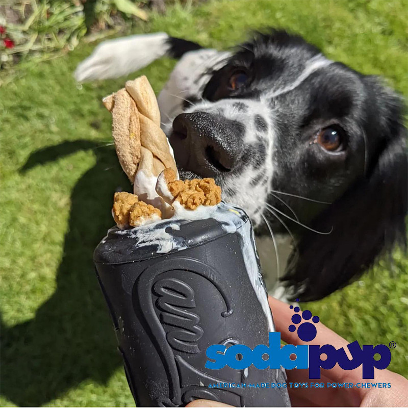 Sodapup漏食球可乐罐狗咬玩具