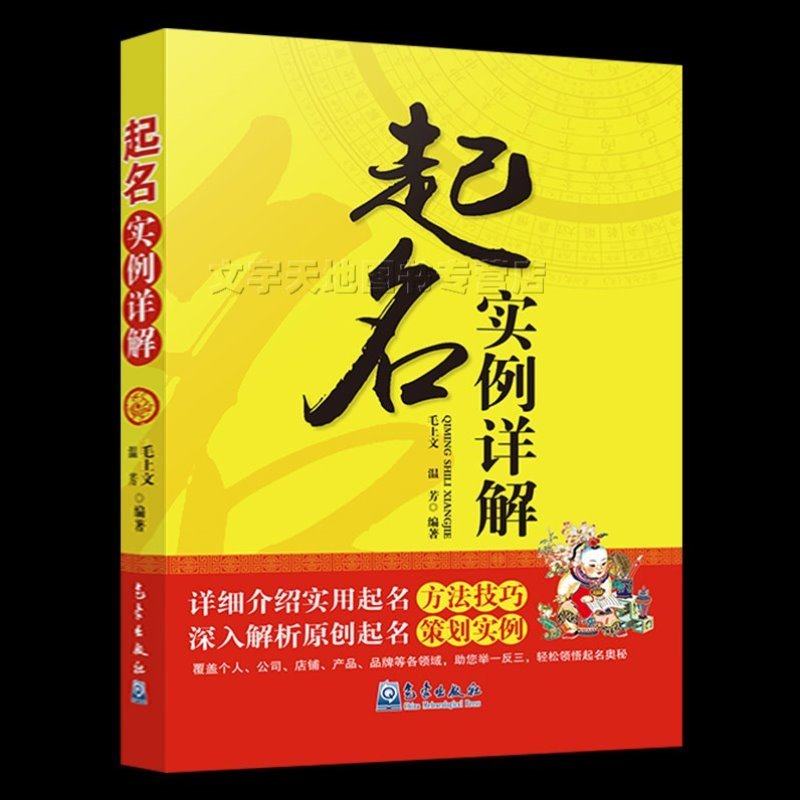 起名实例详解 正版毛上文 温芳 编著 实用起名字方法书籍 宝宝新生儿