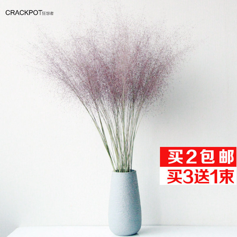 粉黛乱子草干花束狂想者