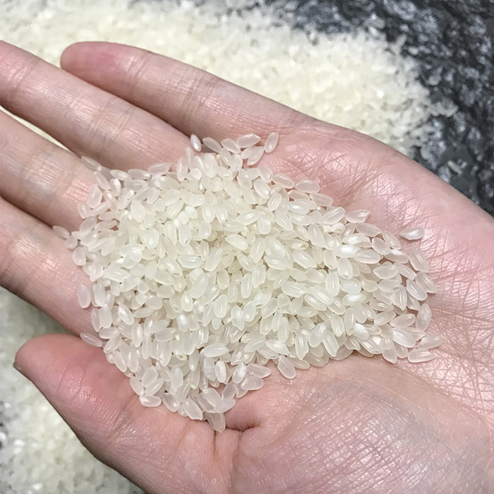 10斤 2025年新正宗东北大米 老品种粳米 煮饭软糯劲道 煮粥稠糯