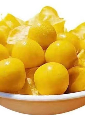 菇娘果特产大菇娘果又名灯笼果洋姑娘香甜可口现摘现发3斤5斤优惠