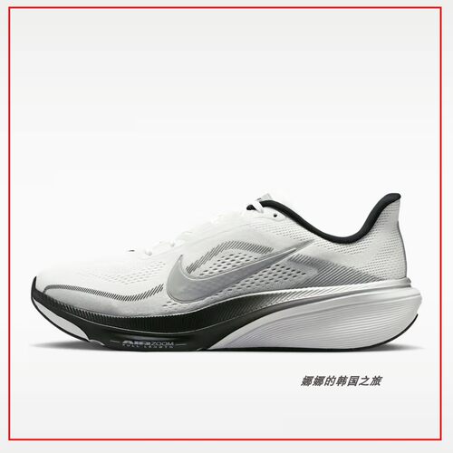韩国代购Nike PEGASUS 42 RR运动网页透气跑步鞋II7210-100