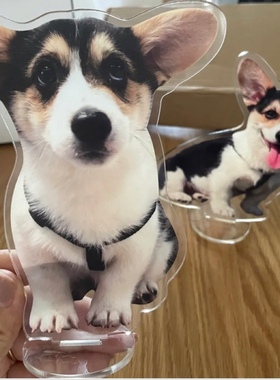 亚克力解压立牌摆件定制宠物猫咪狗狗表情照片来图定制