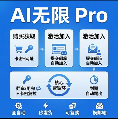 AI pro月度使用咨询服务