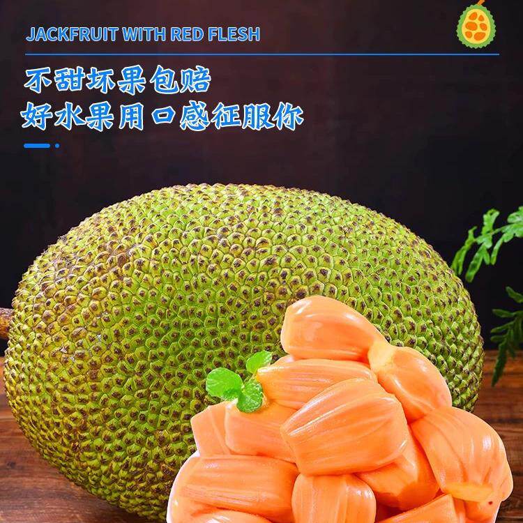 海南红肉菠萝蜜6-18斤一整个菠萝蜜