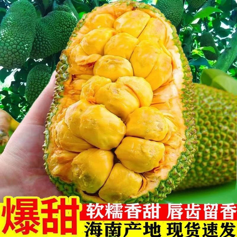 云南西双版纳榴莲蜜当季现采现发菠萝蜜