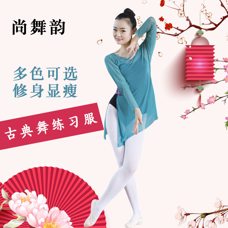 芭蕾舞蹈服成人舞蹈练功衣纱衣修身女上衣舞服古典舞练习服弹力网