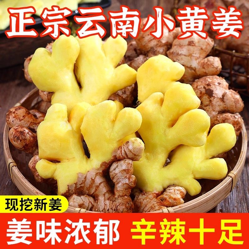 2025新姜云南小黄姜老鲜现挖生姜老沙土种植包邮嫩仔姜干整箱包邮