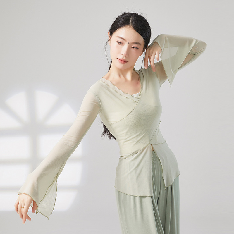 舞者之歌古典舞网纱上衣练功服