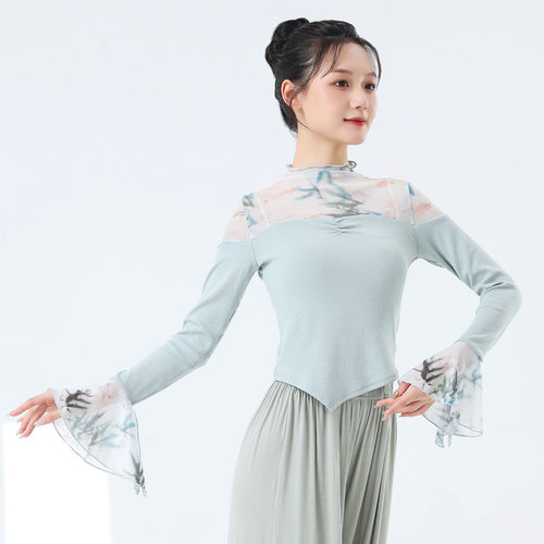 舞者之歌古典舞拼接纱袖修身网纱