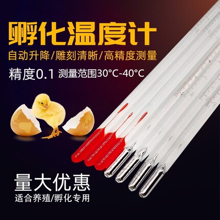 高精密孵化专用温度计水银红水30-40度精度0.1包检养殖孵化机门表