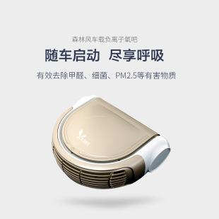 森林风车载负离子氧吧